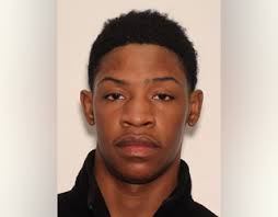 2 men caught with drugs, stolen guns, and dogs at Atlanta home, police say 