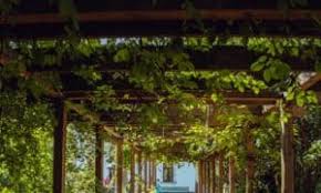 You can choose one of the. Pergola Shade Practical Cover Solutions For Any Outdoor Space Stay Cool Guide
