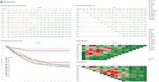 Top Performing Saas Companies Rely On Cohort Analysis In Order To Understand Customer Churn This Post Describes A Standard Approac Analysis Data Understanding