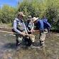 Stream Sampling on Whychus Creek