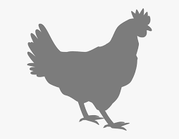 Download Grey Chicken Svg Clip Arts Vector Chicken Silhouette Png Transparent Png Kindpng