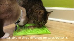 Encouraging foraging behavior is one of the best things you can do for your cat. Wet Food Puzzles Food Puzzles For Cats