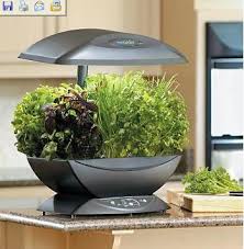 11 best gardening kits to make your home the cream of the crop. Aerogarden Indoor Garden Kit Latest Trends In Home Appliances