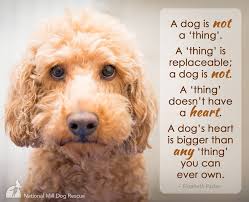 National Mill Dog Rescue is with Peggy Macauley and 11 others.