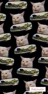 You can also upload and share your favorite cat meme wallpapers. Wallpaper Smudge Cat Cat Wallpaper Cat Memes Cats