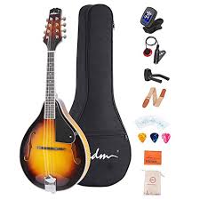 Tuning the mandolin like a uke would actually be tuning it lower. Best Mandolins Buying Guide Gistgear