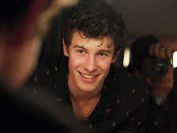 Aaliyah mendes is a canadian famed star who is best known as younger sister of popular pop star shawn mendes. Is Shawn Mendes Gay Girlfriend Height Net Worth Sister Parents Facts Networth Height Salary