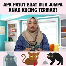 Kucing muntah bikin gak tega lihatnya! Kucing Comel Dan Cute Home Facebook