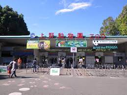 The site owner hides the web page description. ä¸Šé‡Žå‹•ç‰©åœ' æ±äº¬ã¨ã‚Šã£ã·
