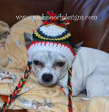 Primary Colors Ear Flap Dog Hat Instant Download Crochet Etsy Dog Hat Dog Beanie Dog Hats
