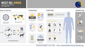 Check spelling or type a new query. Tropeninstitut Tropenkrankheiten West Nile Fieber