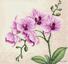 Super angebote für stitch cross hier im preisvergleich. Luca S Orchid Counted Cross Stitch Kit Pack Of 1 Amazon Ae Arts Crafts