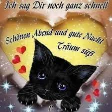 Auf dem heutigen markt der spyware finden sie ziemlich viele kostenlosen angebote. Gute Nacht Und Schone Traume Schones Bilder Gb Bilder Whatsapp Bilder Gb Pics Facebook Bilder Gute Nacht Gute Nacht Katze Gute Nacht Grusse