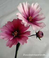 Gumpaste Cosmos Sugar Flowers Tutorial Gum Paste Flowers Tutorials Gum Paste Flowers