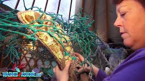 Home movies of Katherine Weems' Rhinoceros sculptures at Harvard University  (1937)