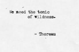 Thoreau Nature Quotes Words Quotes Cool Words