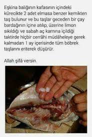 Dc8ebdaa471c9ad893574adea7f6340b Jpg 266 395 Saglik Ipuclari Dogal Dogal Saglik