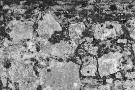 See more ideas about supreme wallpaper, hypebeast wallpaper, dope wallpapers. Old Brick Wall With The Destroyed Mold Plaster For The Textured Stock Photo Picture And Royalty Free Image Image 50107622