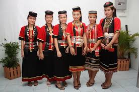 Pattupavadai merupakan pakaian tradisional kaum india yang dipakai oleh budak perempuan. The Bidayuh Traditional Outfits Culture Malaysia