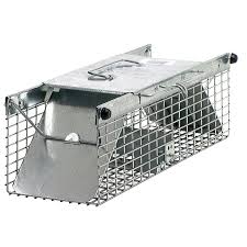 We did not find results for: Termite Killer Insect Pest Control At Lowes Com