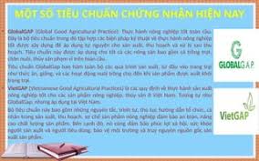 Chứng nhận hiện nay trong nông nghiệp.pptx