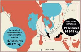 All visitors must hold a passport valid for at least 6 months. Malaysia Is A Major Transit Point For Ivory Smugglers