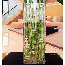 6 l vtg xl large green glass jar french demijohn floor vase crock pot farmhouse. Floor Vases Shop Floor Vases With Great Discounts And Prices Online Lazada Philippines