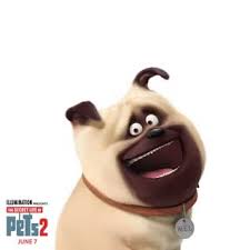 The Secret Life Of Pets 2 Now Playing Video Secret Life Of Pets Pets Secret Life