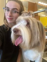 Thank you for the support of our small town grooming business