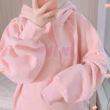 Wiwiwi Embroidery Hoodie Sweatshirt Kawaii Clothes Aesthetic Clothes Cute Outfits