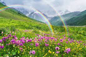 Use them in a summer floral arrangement to add some unique. Rainbow In The Mountains Landscape With Summer Flowers Sunny Stock Photo Picture And Royalty Free Image Image 73637566