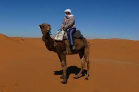 How good is your relationship? Camel Riding In Sahara