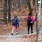 National Trails Day Family Friendly Stewardship Hike
