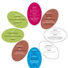 Feng Shui Pflanzenliste Mit Himmelsrichtung Feng Shui Feng Shui Garten Feng Shui Schlafzimmer