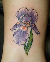 Pin By Hima Bindu On Tattoo Ideas Iris Tattoo Iris Flower Tattoo Flower Tattoo