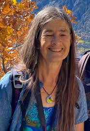 Some Who Cannot' by Susan E. Quinlan