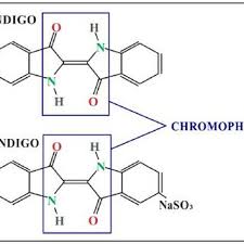 Image result for Indigofera subargentea
