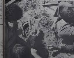 Image result for Dawn Gray 1972 Kelvinator