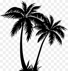 Sunset beach with palm silhouette 146267 vector art at vecteezy. Display Resolution Summer Beach Sunset Poster Background Material Coconut Trees Near Beach Painting Computer Wallpaper Palm Tree Mobile Phone Png Pngwing