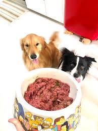 Raw meow is an australian freeze dried raw food for cats. Home Organic Paws Organic Paws