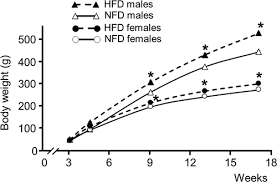 Novel 18++se× 2018 gif / higurashi no . Sex Dependent Differences In The Adverse Renal Changes Induced By An Early In Life Exposure To A High Fat Diet American Journal Of Physiology Renal Physiology