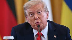 Are there too many empty office buildings in downtown Halifax?