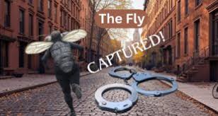 Operation Secret Squirrel