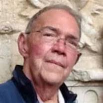 Amy Werling's Instagram, Twitter & Facebook