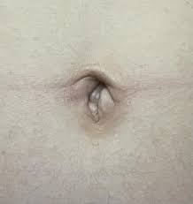 Image result for Umbilicus