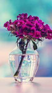 Purple Carnation In A Vase Flower Iphone 5s Wallpaper Purple Flowers Wallpaper Flower Iphone Wallpaper Flower Wallpaper