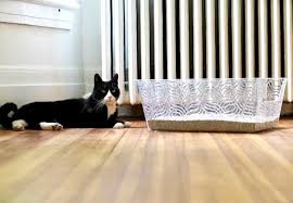 This modern design with a measurement of 16″ x 16″ x 15″ can blend into any room and won't take. New Crystal Clear Designer Litter Box From Whisker World