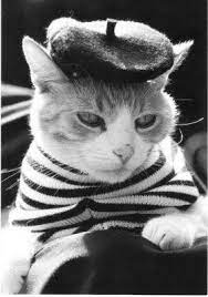 The Paper Collector Le Chat French Cats Crazy Cats Cats And Kittens