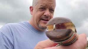 For Dominic Bender's Challenge Tree 2015, Black Walnut walking stick.