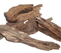 Membuat tubuh lebih kuat dan tidak mudah lelah. Agarwood Facts And Health Benefits